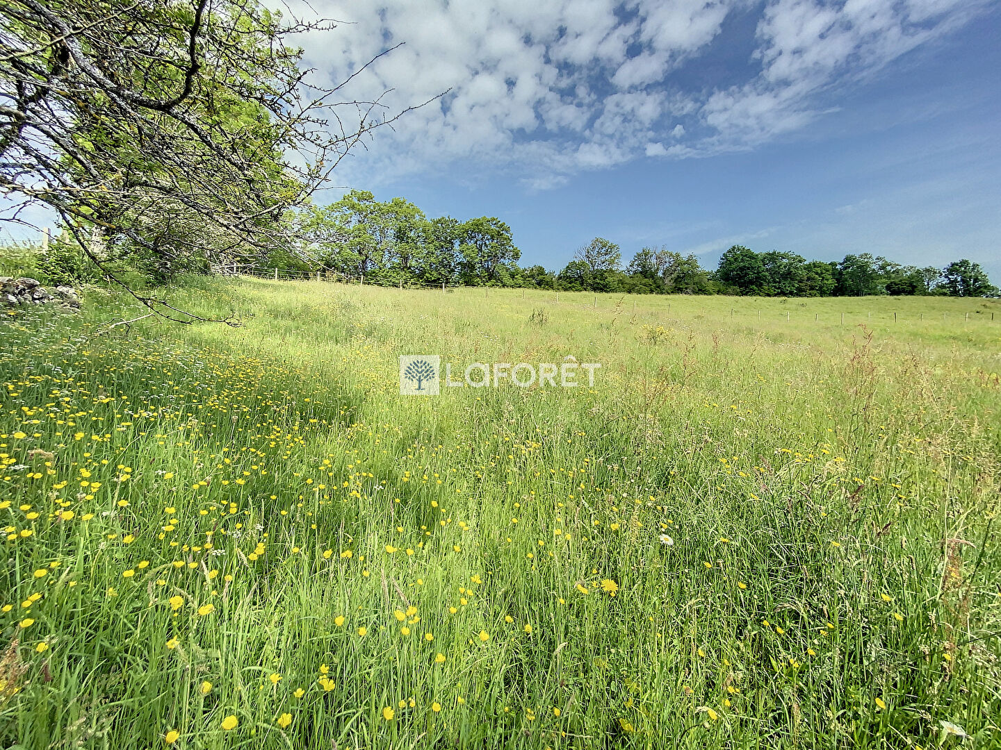 Terrain Lieutades 941 m2