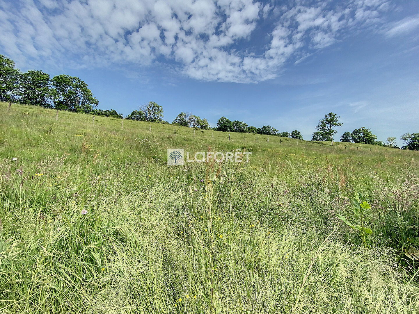 Terrain Lieutades 789 m2