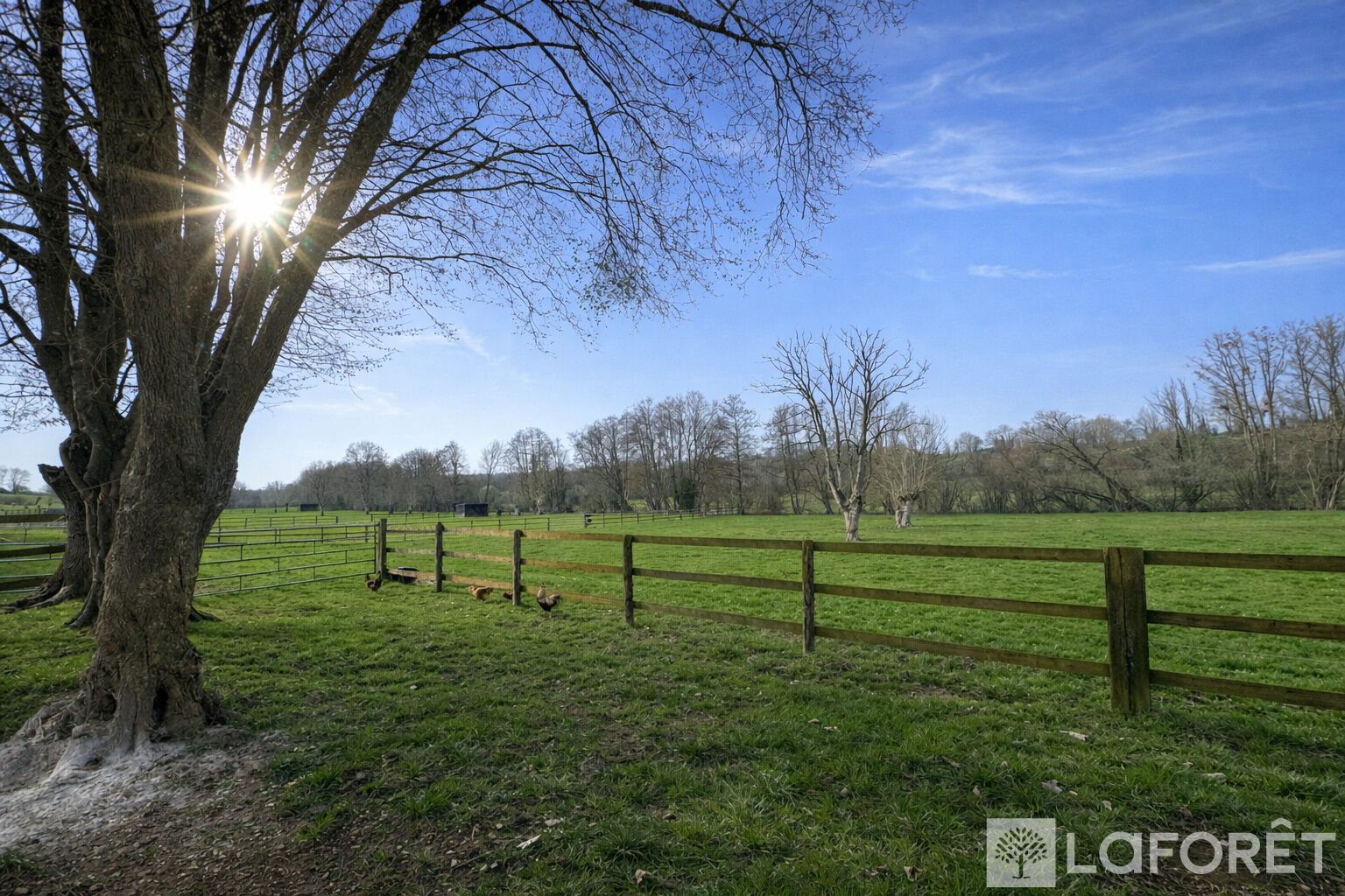 Propriété équestre sur 12,67 ha avec maison normande - Perche Ornais
