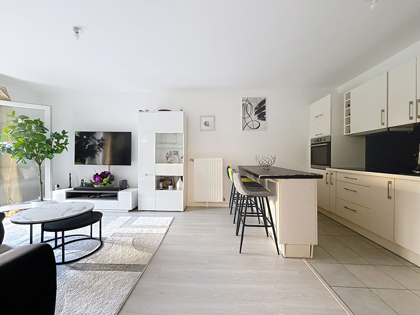 Appartement Villiers Sur Marne 3 pièce(s) 57.56 m2
