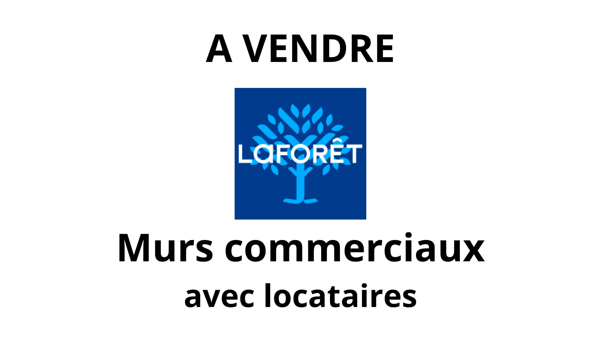 MURS COMMERCIAUX AVEC LOCATAIRES