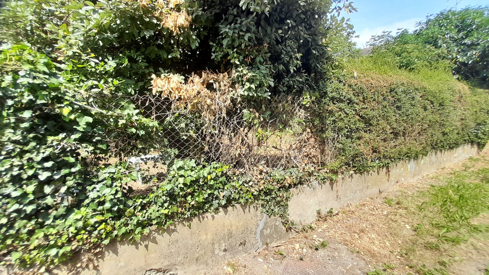 Terrain constructible 600 m2 avec 2 accès possible. La Brosse JANVRY