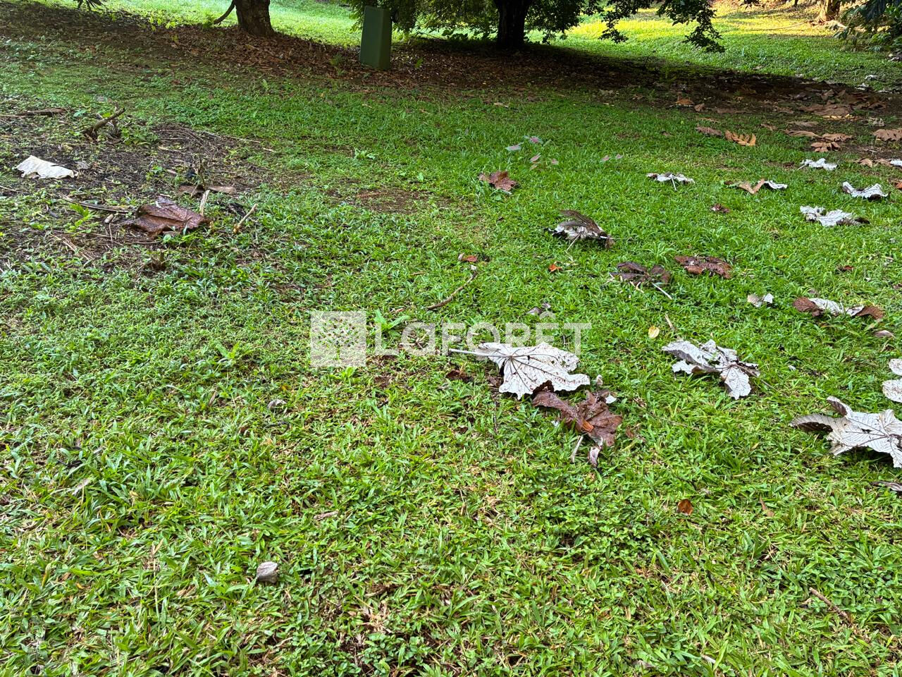 Terrain à vendre dont 1 080 m² constructible, Le Lamentin LD Boyer