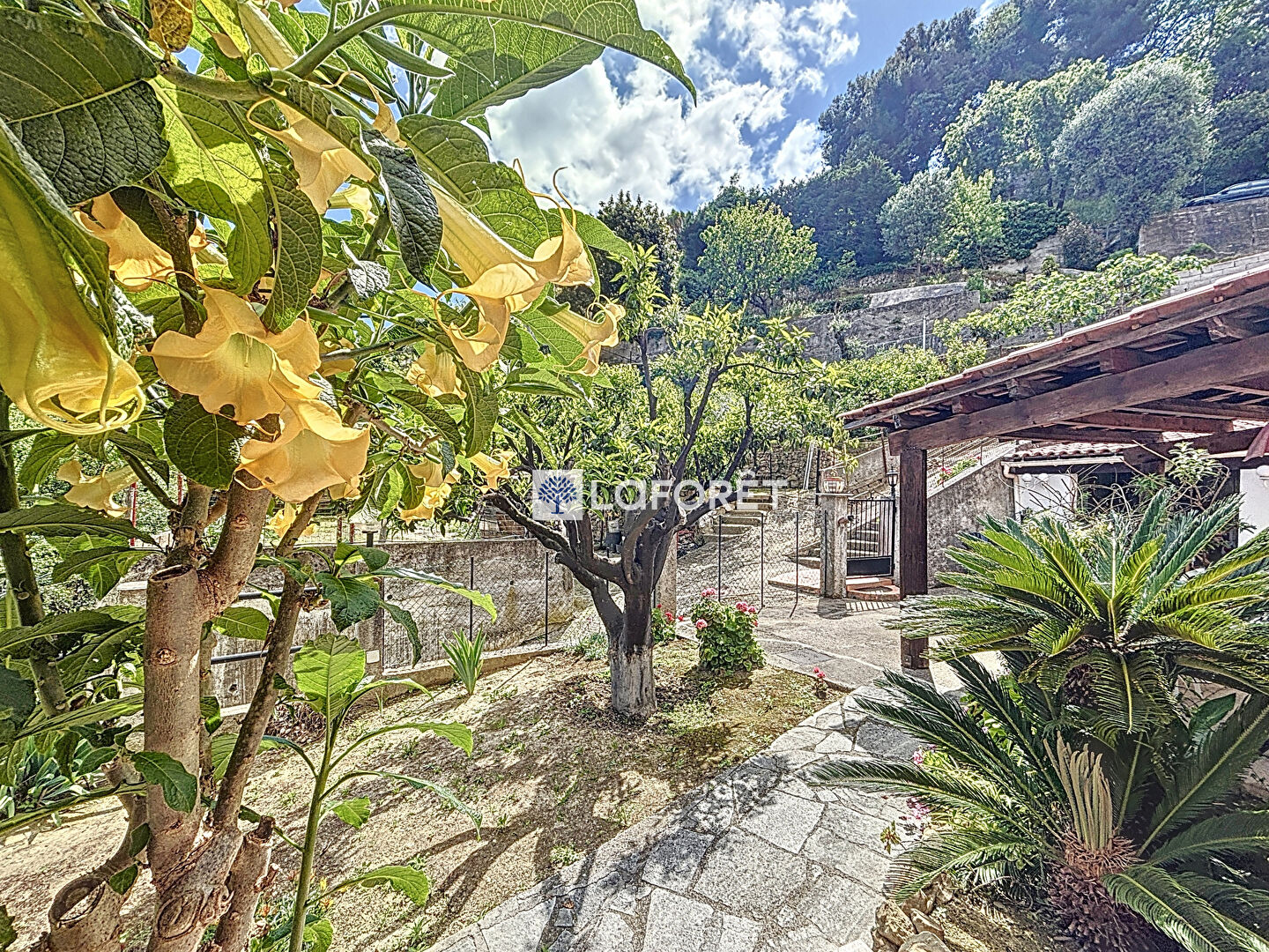 Menton - Maison 5 pièces 180 m2 - terrain de 953 m2  avec vue mer