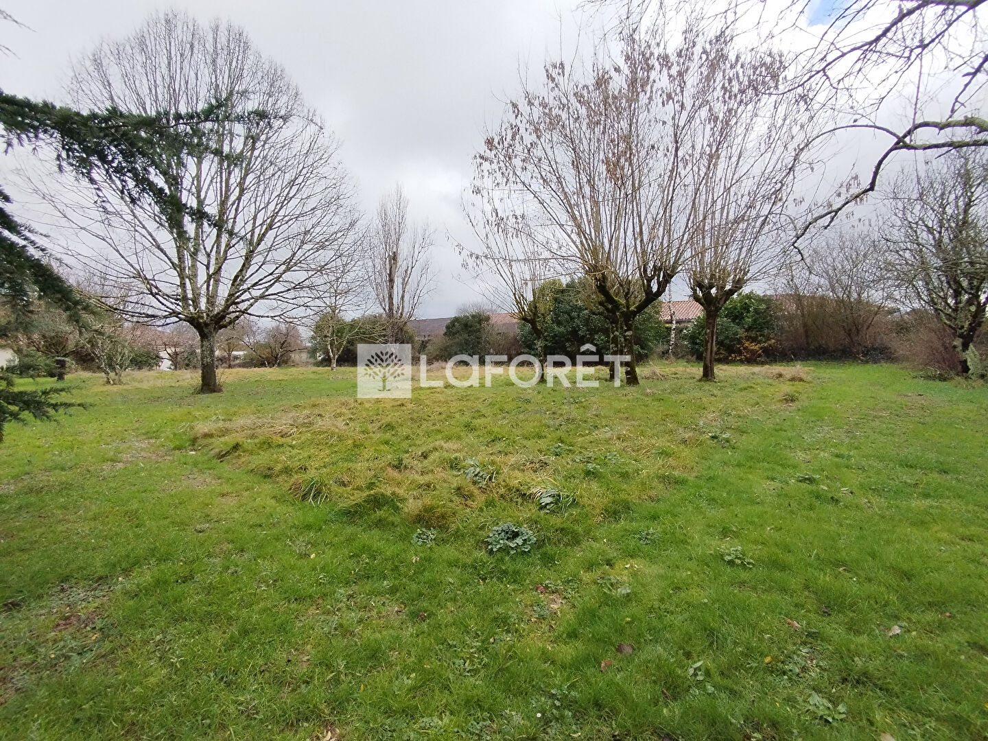 Terrain constructible 750 m² ? Arboré, hors lotissement ? Labastide-du-Temple