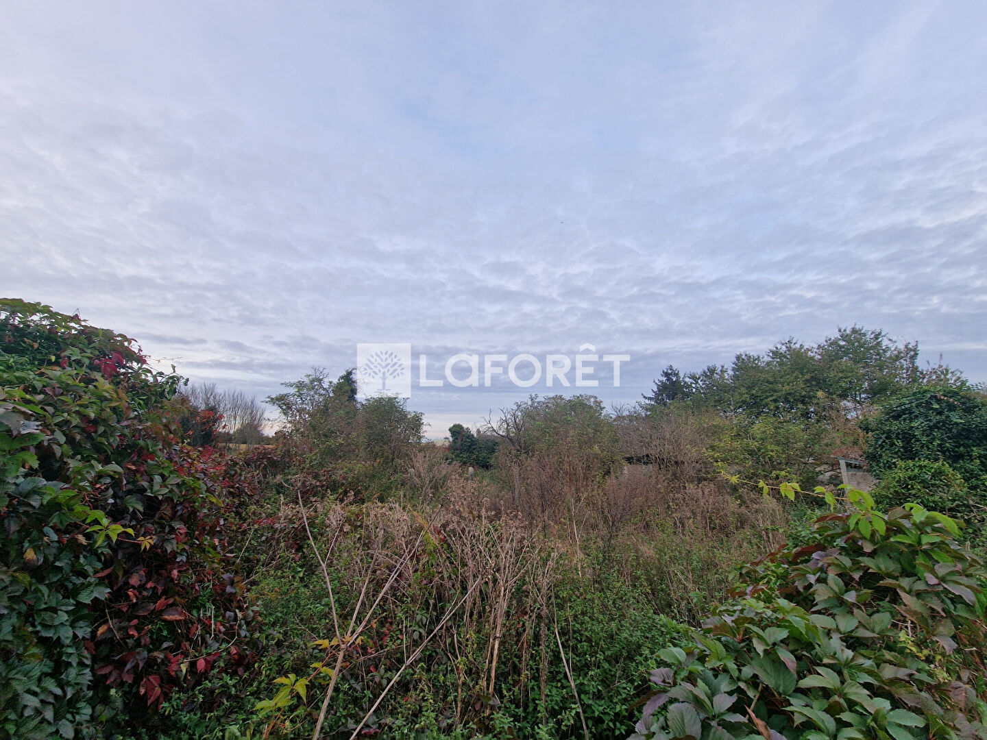 Terrain 608 m² Ville Saint Jacques (77130)