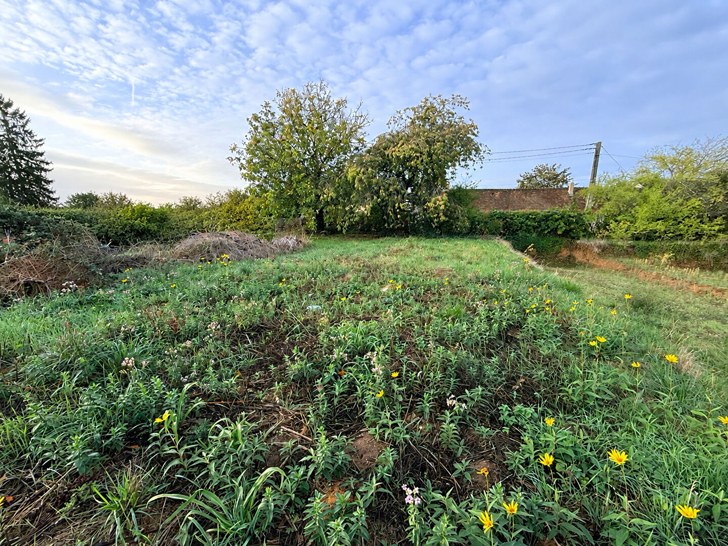Terrain Vernou-la-celle-sur-seine 438 m2