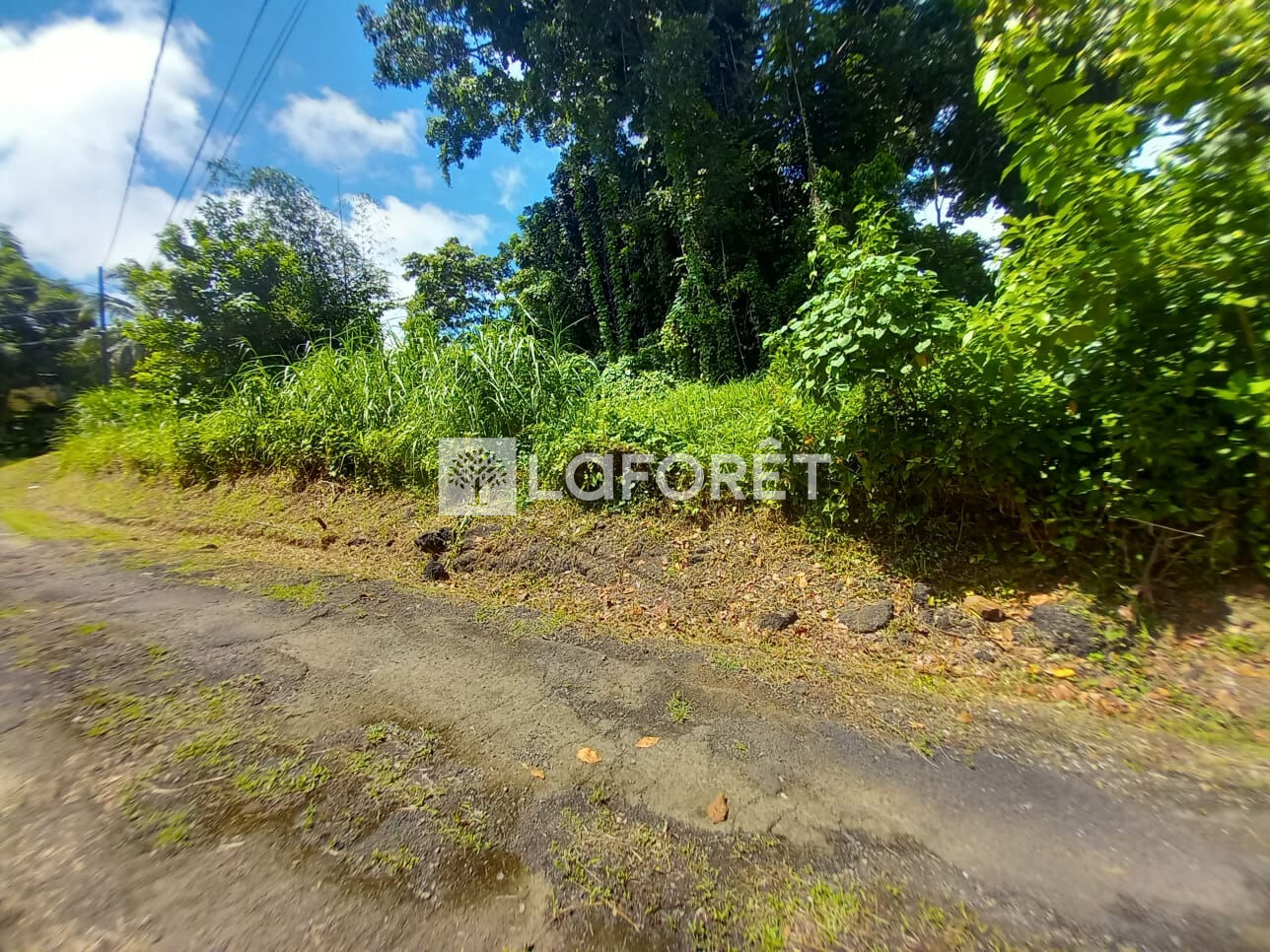 Terrain Vert Pre 2278 m2