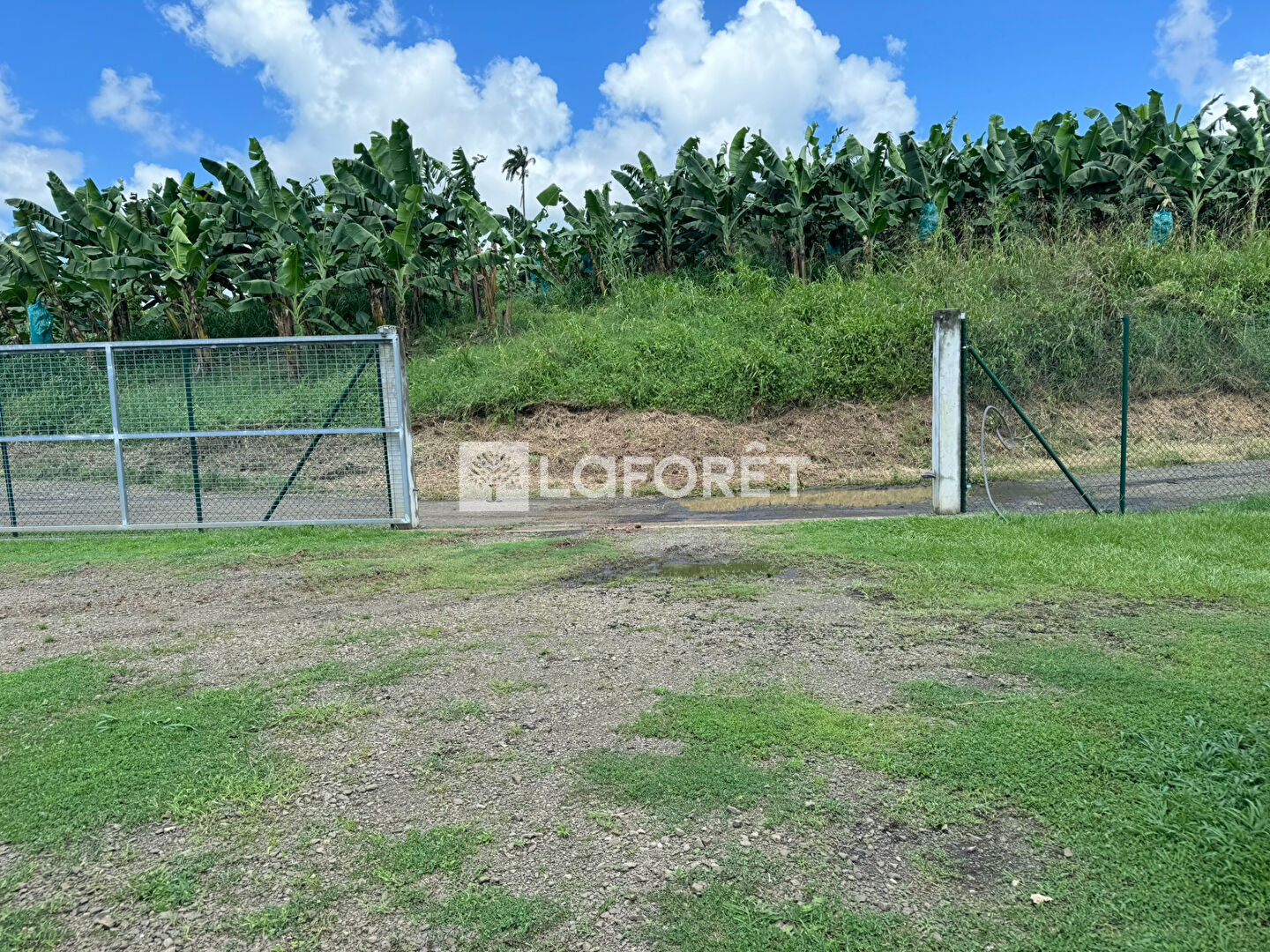 Terrain de 2 373 m² à vendre au Lamentin