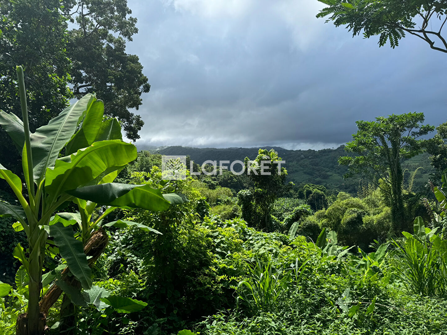 Terrain 8505 m² au Lorrain
