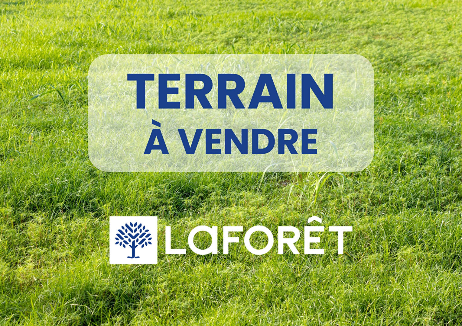 Terrain Jouy Le Chatel
