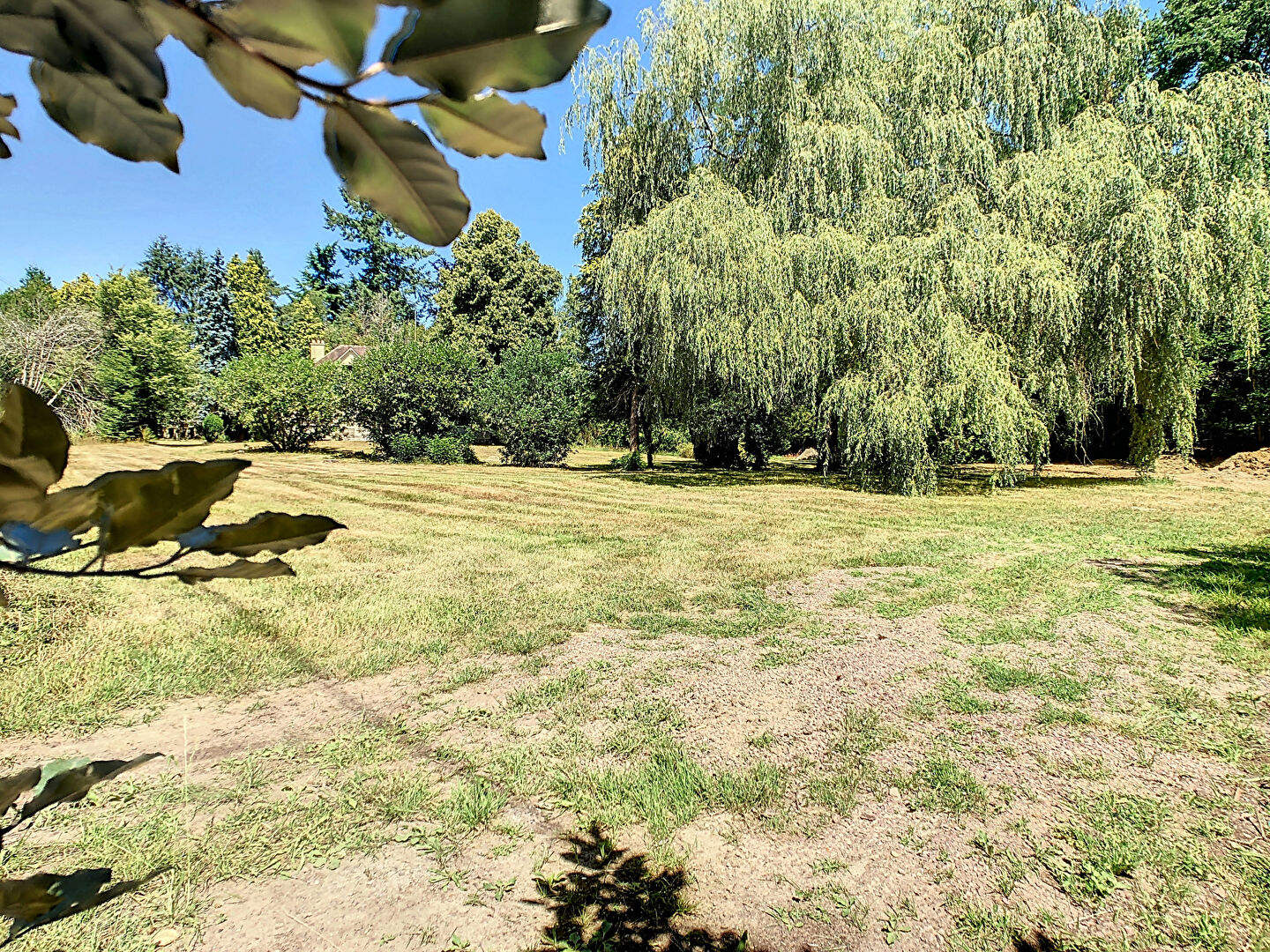 Beau Terrain - POIGNY-LA-FORÊT 969 m²