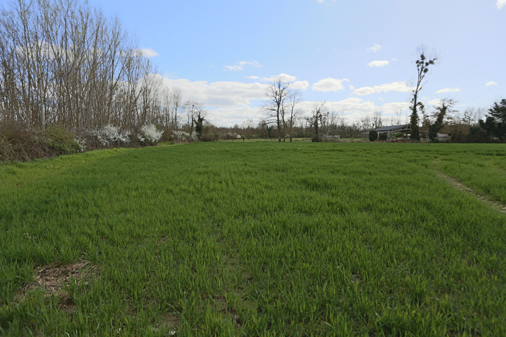 À vendre Terrains agricoles à Saint-Germain-de-Salles