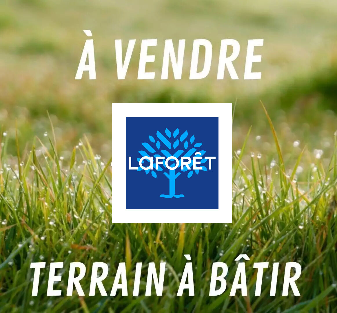 Terrain Notre Dame De Riez 380 m2