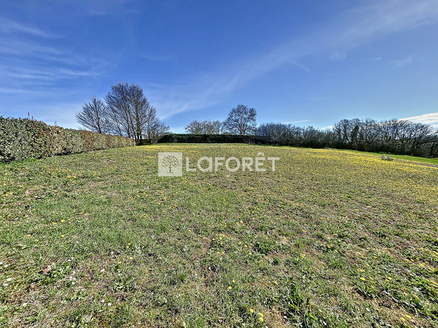 Terrain Beauvais Sur Tescou 770 m2