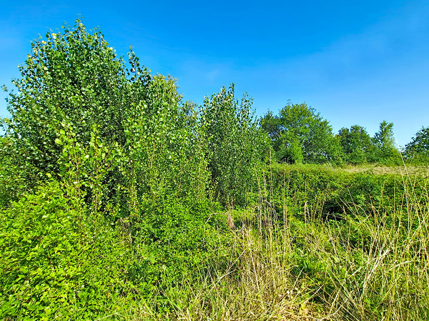 Terrain Monclar De Quercy 305 m2